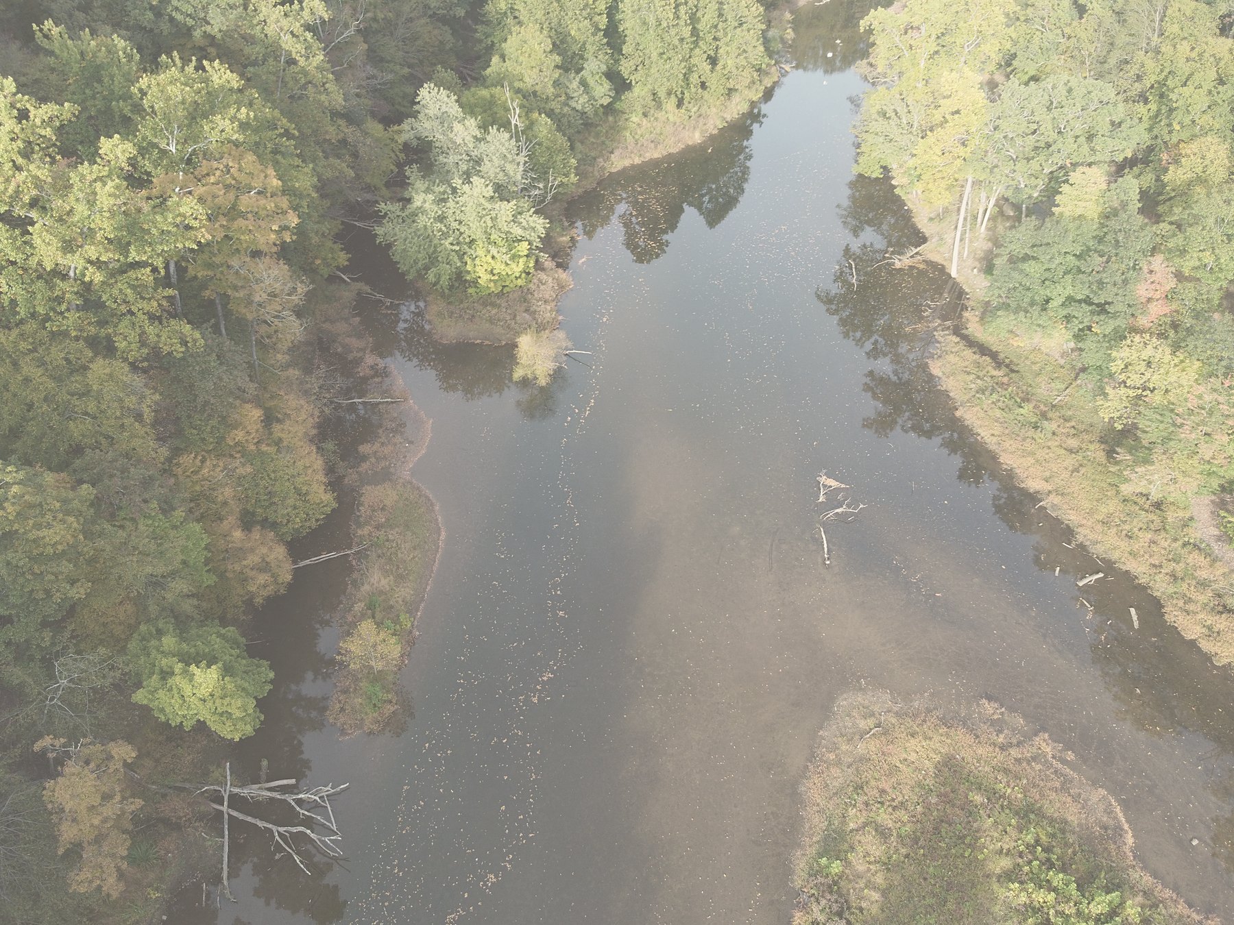 A river curving past a small island, seen from above
